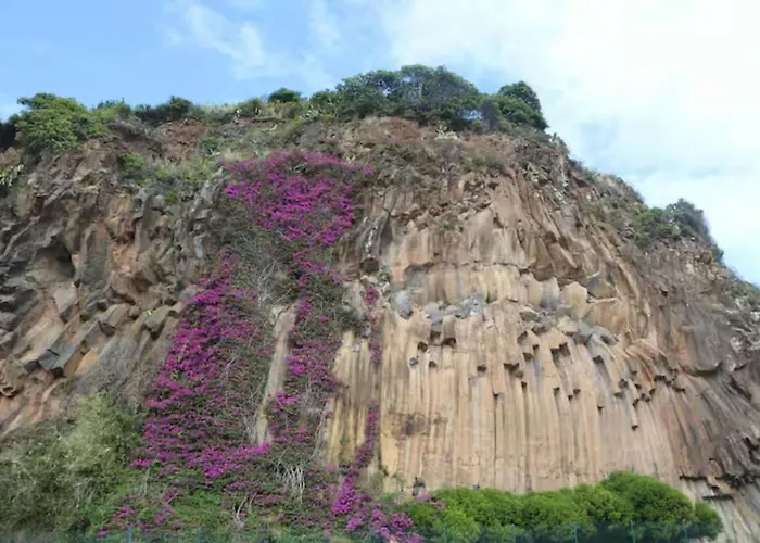 House Butterfly Santana (Madeira)