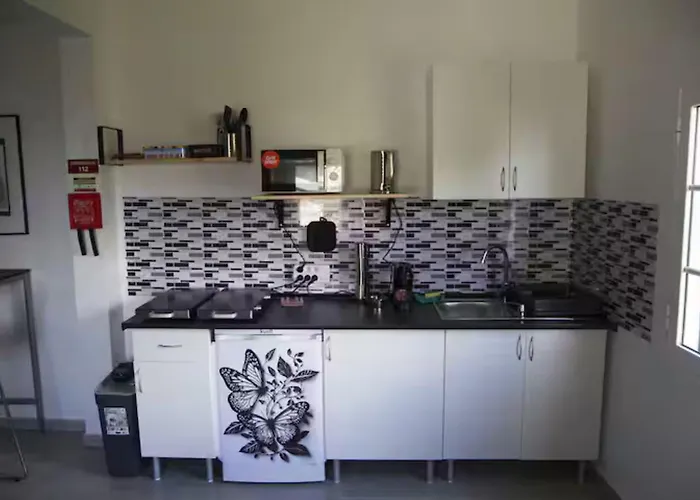 House Butterfly *