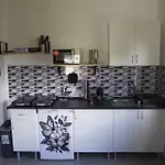 House Butterfly *