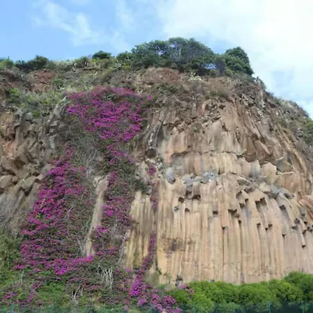 House Butterfly Sao Roque Do Faial