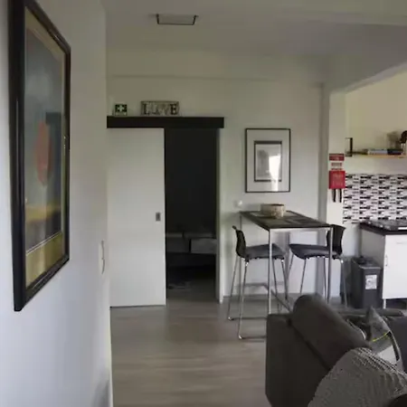 Apartment House Butterfly