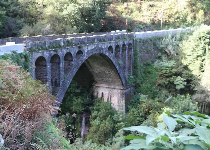 Apartament House Butterfly